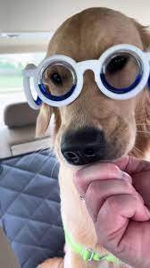 Motion Sickness Glasses